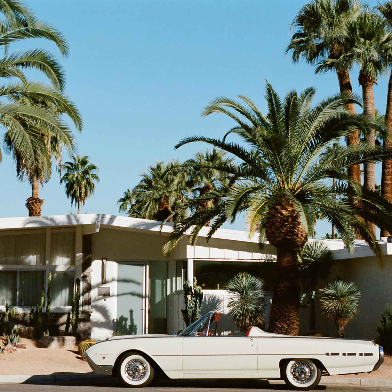 How an Author Grew to Love the Immutable Glory of Palm Springs