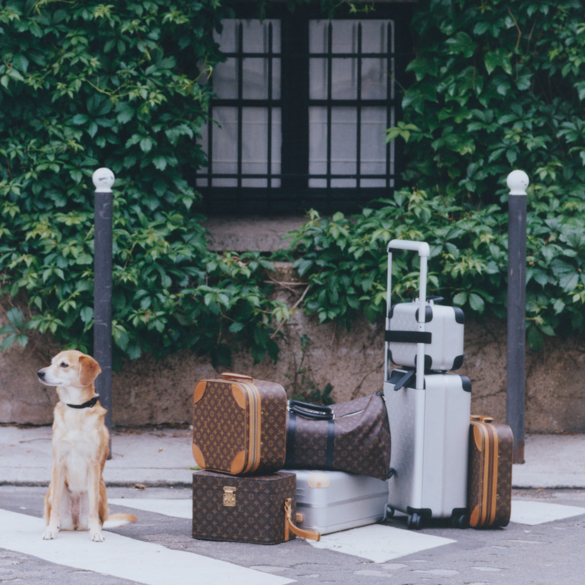 “I Prefer to Optimize”: Pierre-Louis Vuitton on Luggage, Legacy, and Packing Light